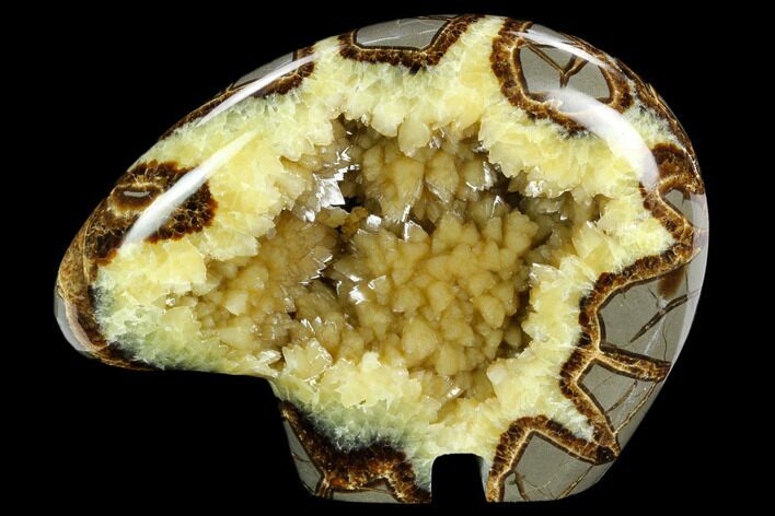 Calcite Crystal Filled, Polished Septarian Bear - Utah #123851